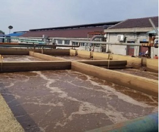 出水氨氮大于進水氨氮，怎么回事？